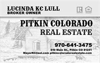 Pitkin Colorado Real Estate