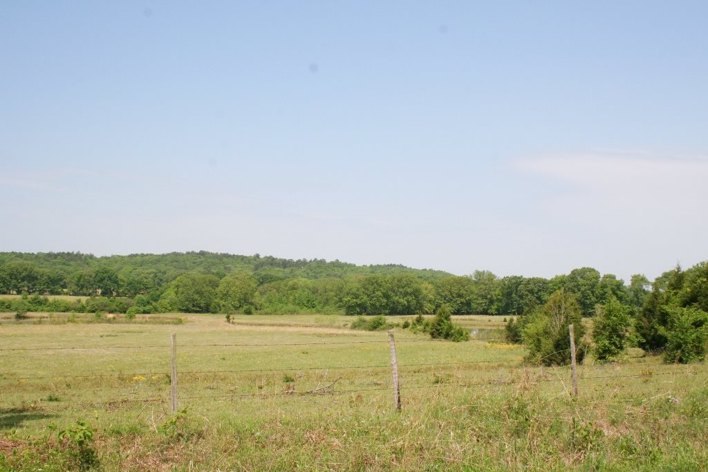 260 Sturgis  Conway, AR