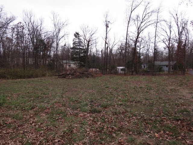 00 Maple  Bull Shoals, AR