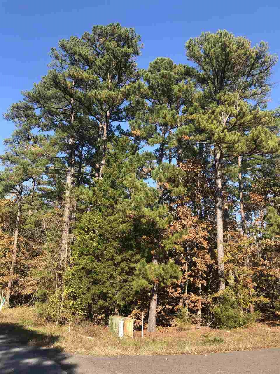 71 Pintuerero  Hot Springs Village, AR