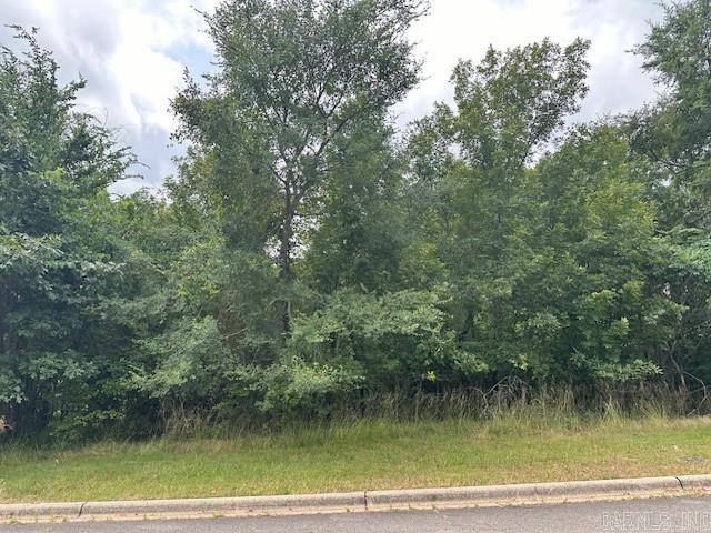 160 Oak Shores Circle Lot 26 Block 5 - Red Oak Circle Hot Springs, AR