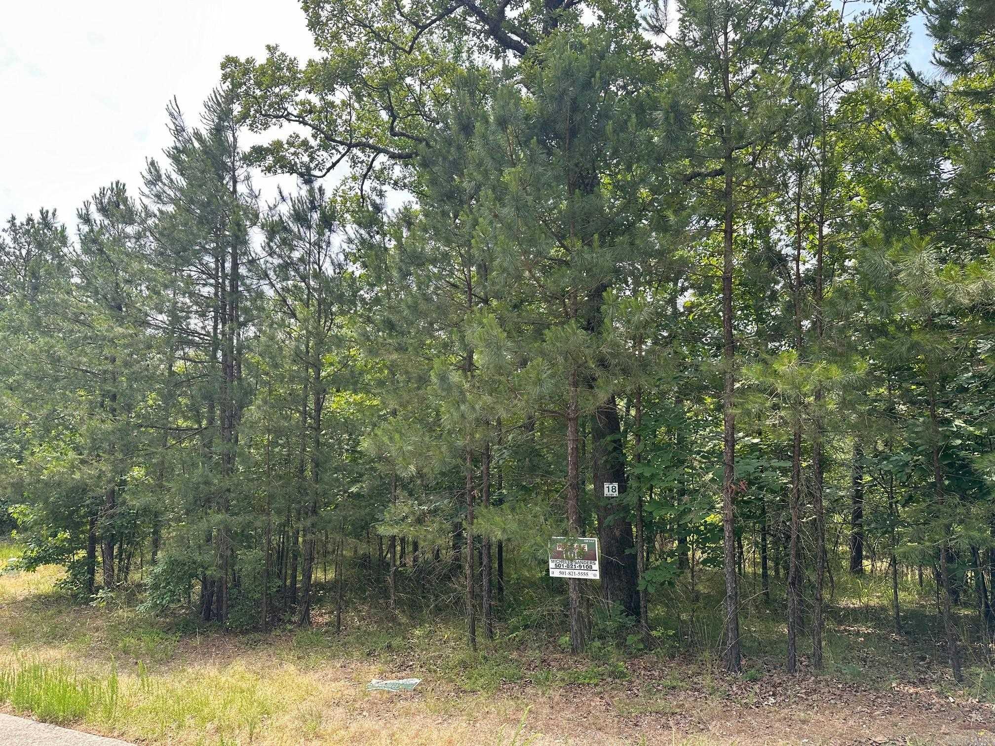 242 Dellmere Drive Lot 20 Blk 6 Dellmere Hot Springs, AR