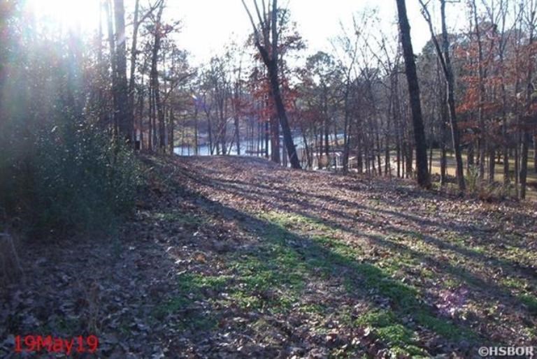 119 Bluebird Lane  Hot Springs, AR