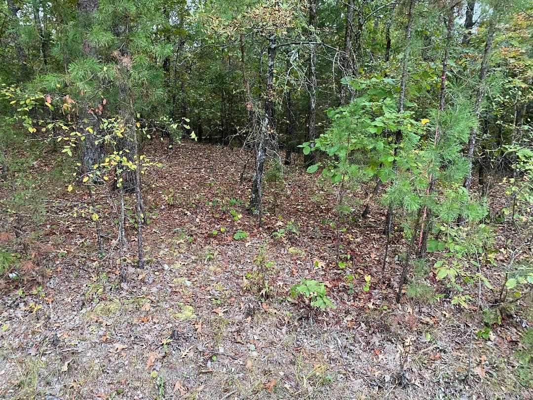 16 Loyola Drive  Hot Springs Village, AR