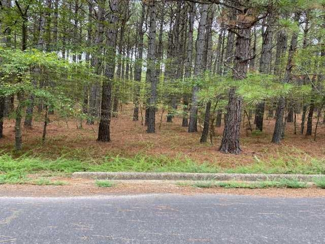 19 Poema  Hot Springs Village, AR