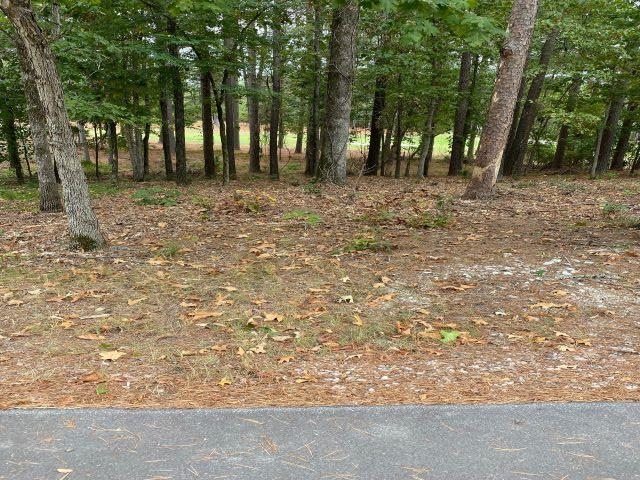 74 Loyola  Hot Springs Village, AR