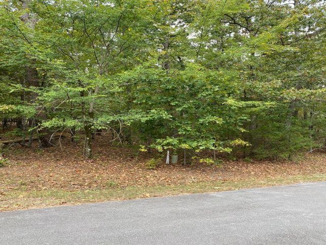 17 Loyola  Hot Springs Village, AR