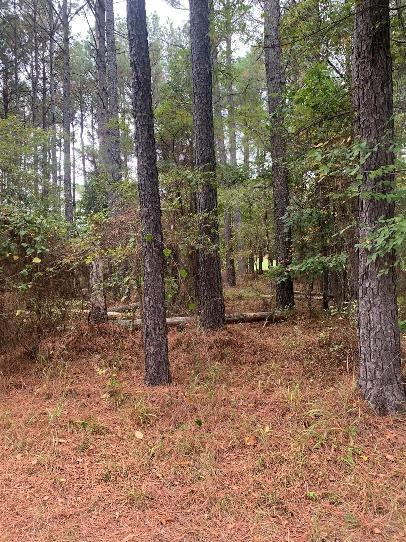 10 Poema  Hot Springs Village, AR