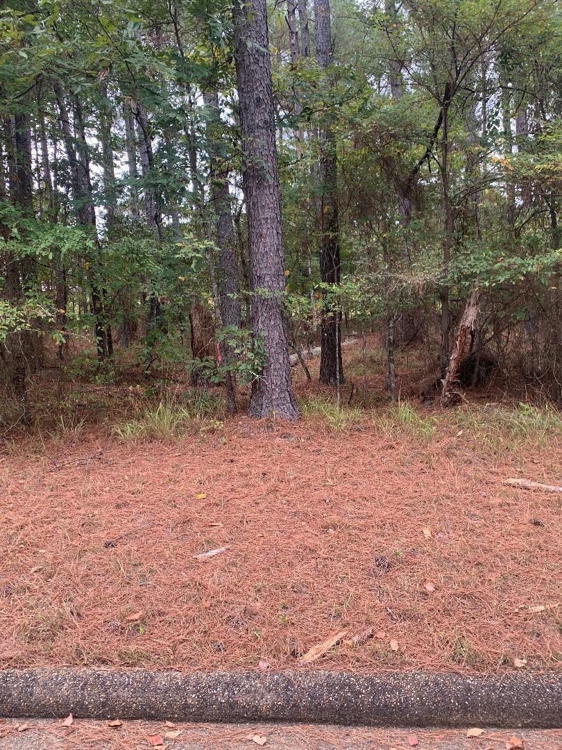 10 Poema  Hot Springs Village, AR