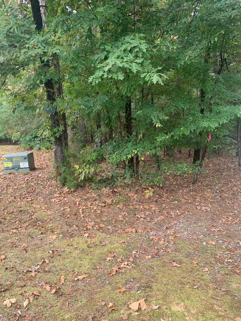 7 Morro  Hot Springs Village, AR