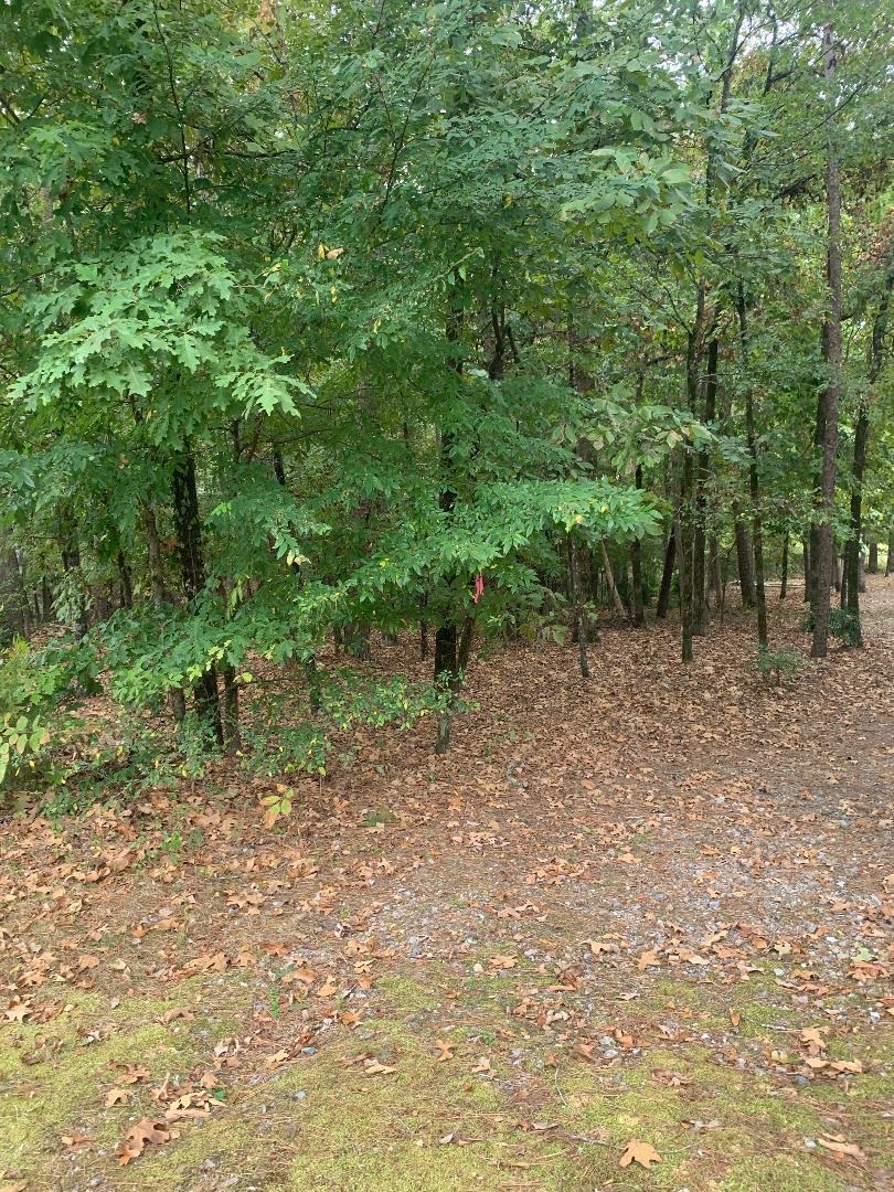 7 Morro  Hot Springs Village, AR