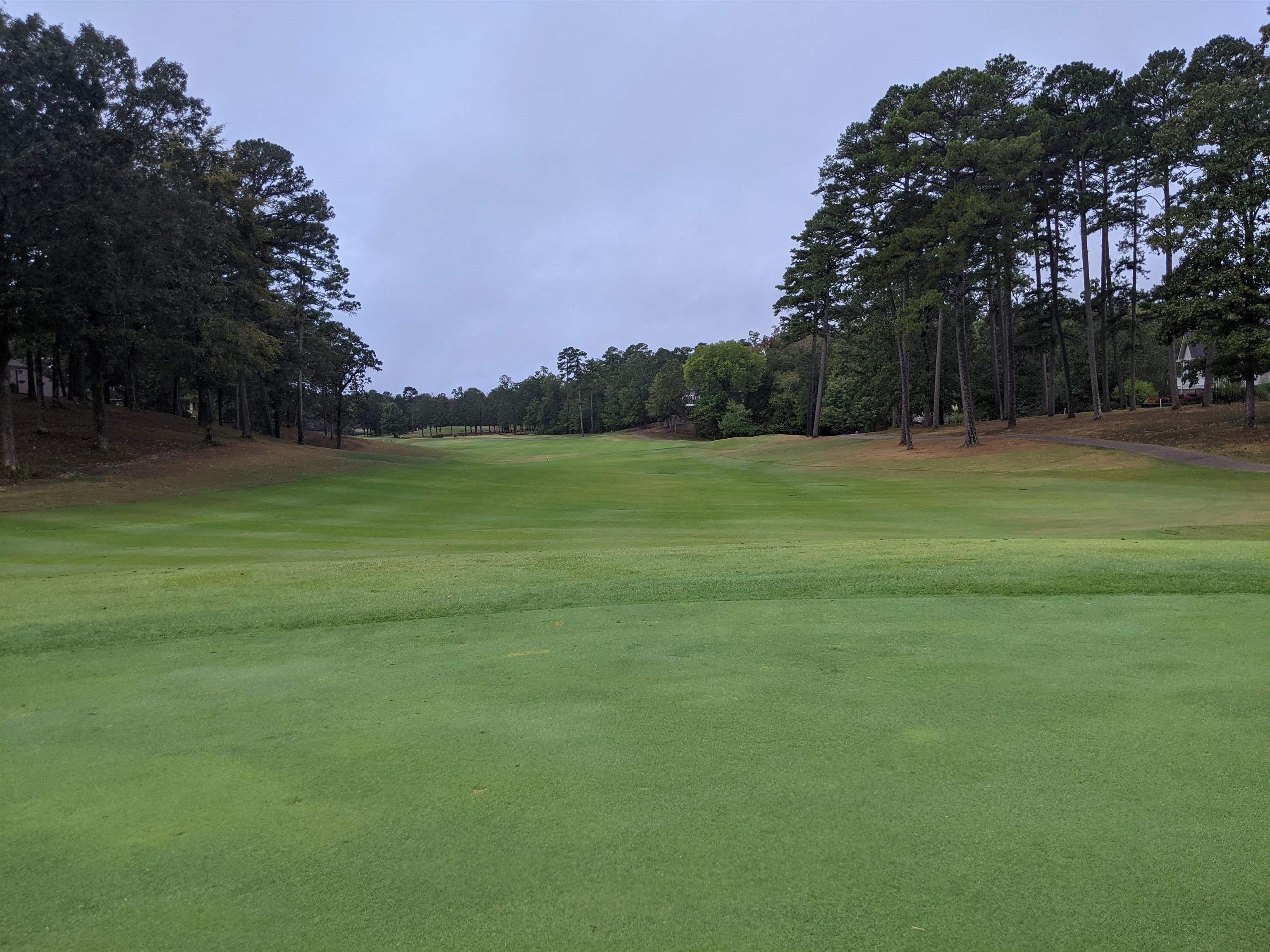 38 Loyola  Hot Springs Village, AR