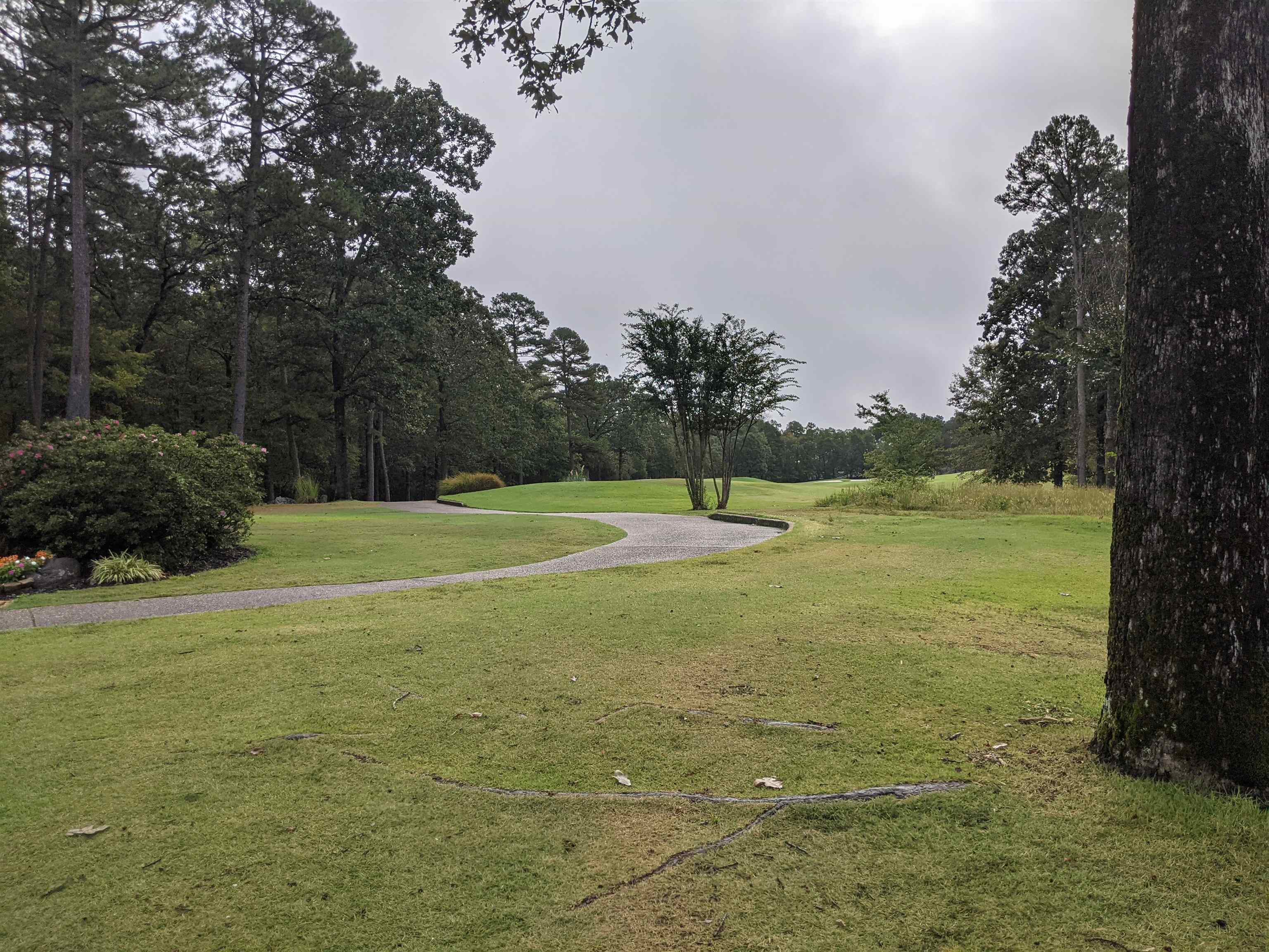 38 Loyola  Hot Springs Village, AR