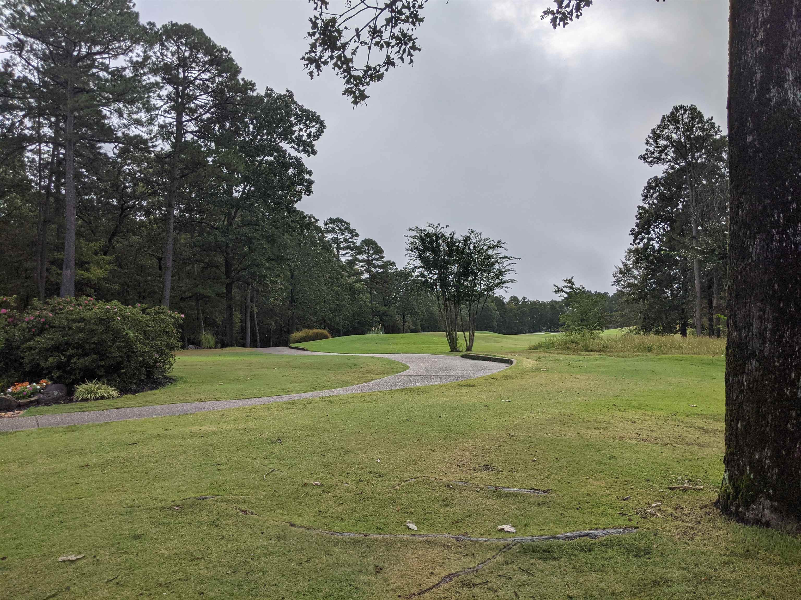 38 Loyola  Hot Springs Village, AR