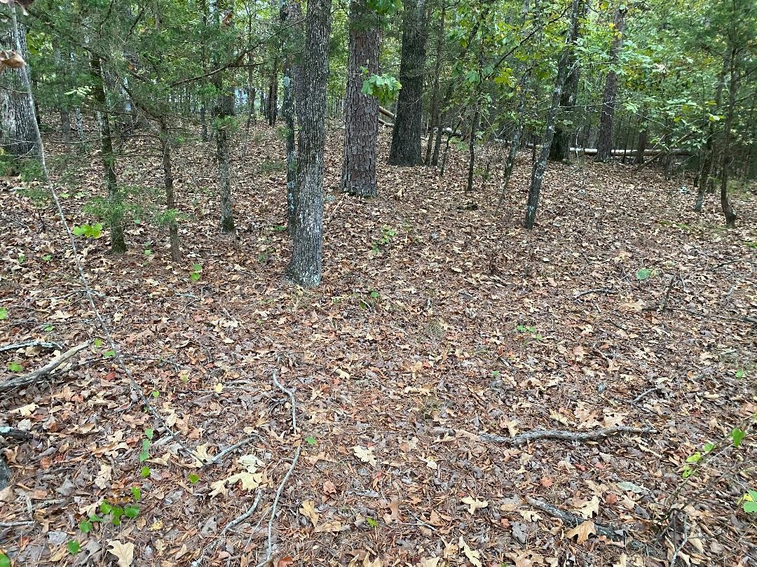 6 Princesa Lane  Hot Springs Village, AR