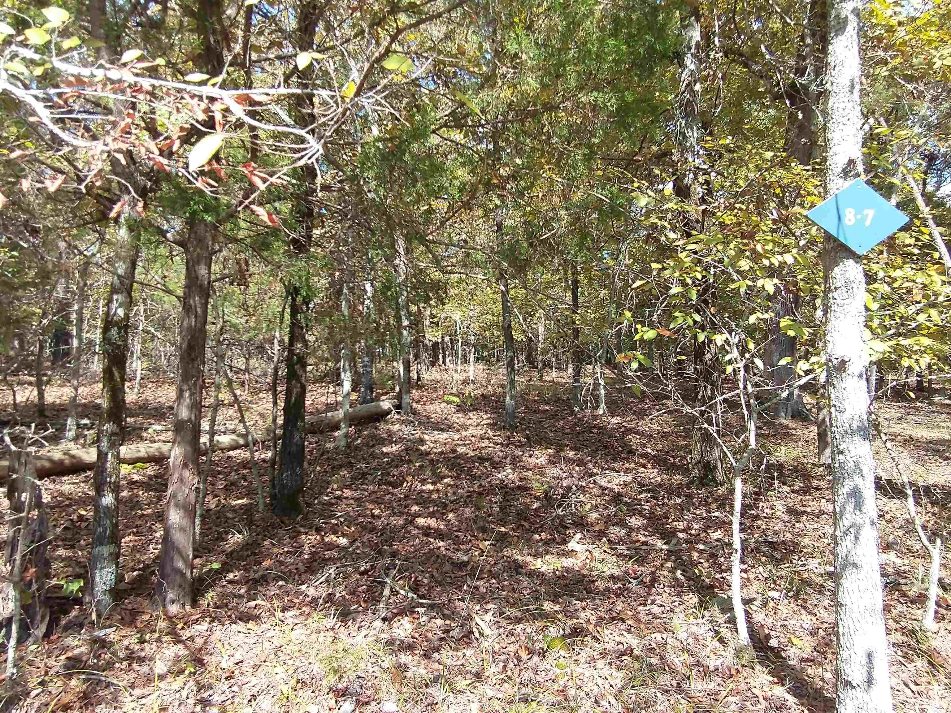 15 Granada  Hot Springs Village, AR