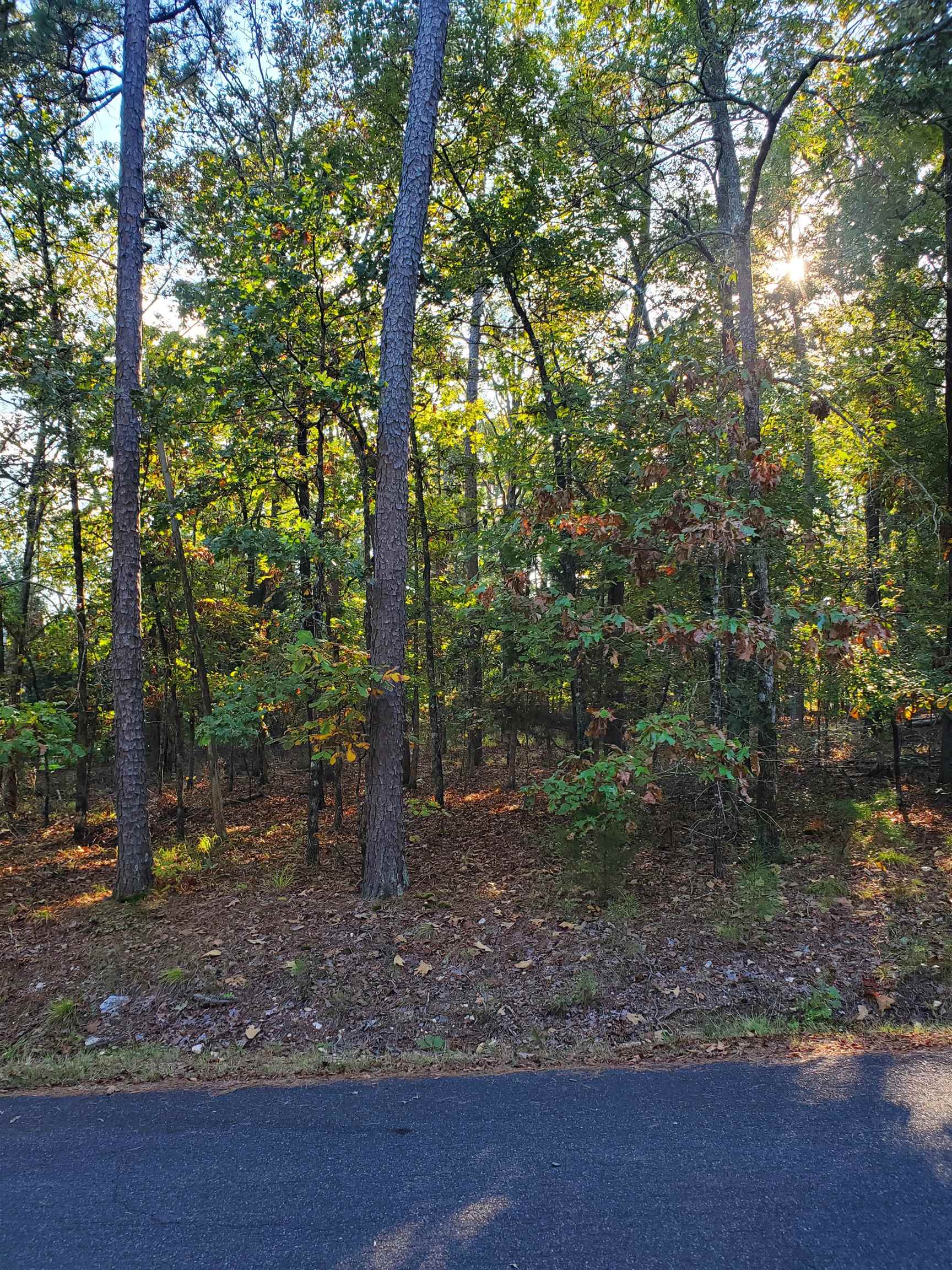 5 Loyola  Hot Springs Village, AR