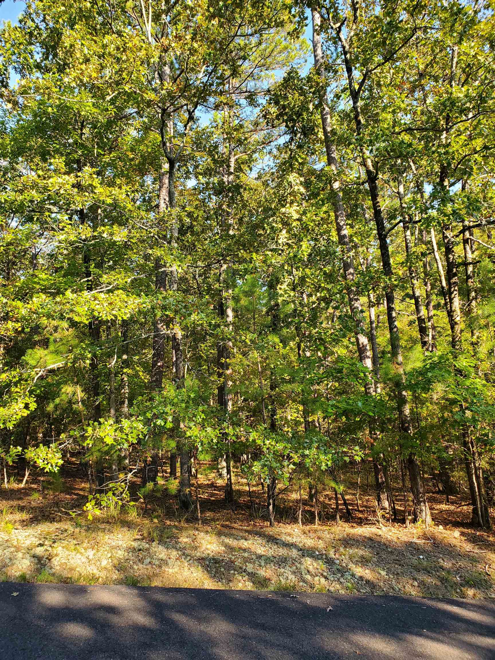 2 Princesa  Hot Springs Village, AR