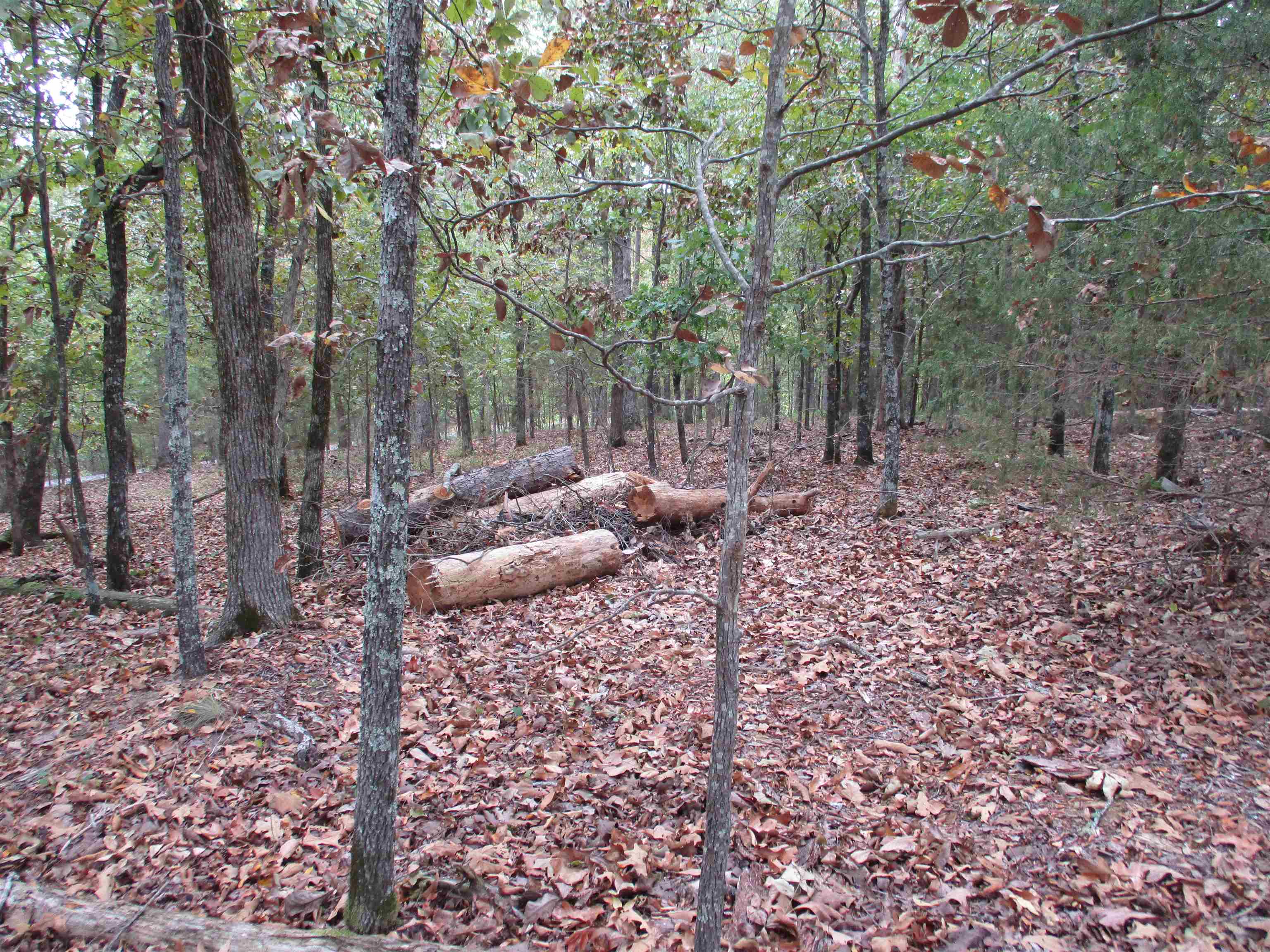 12 Princesa  Hot Springs Village, AR