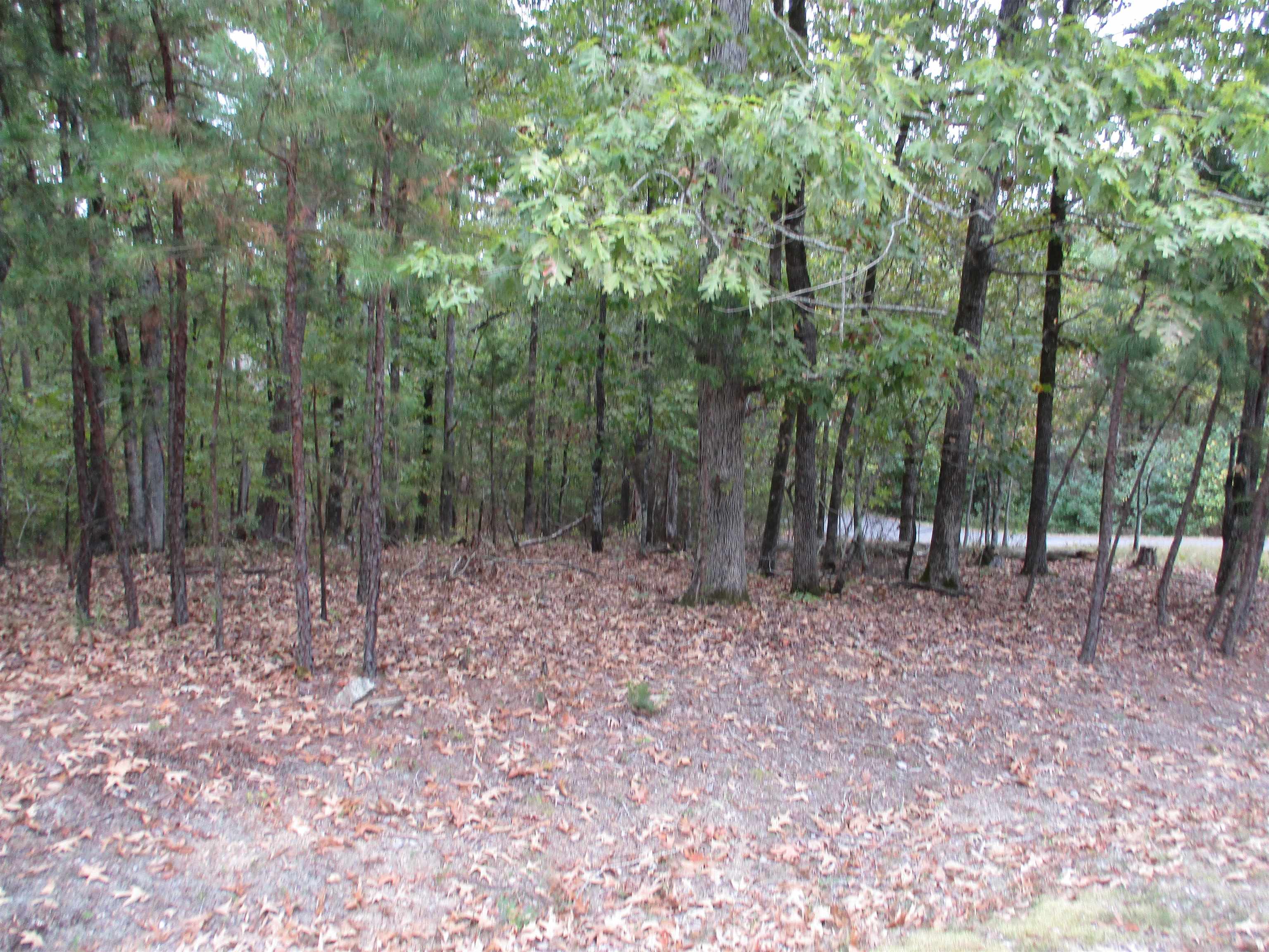  Princesa  Hot Springs Village, AR