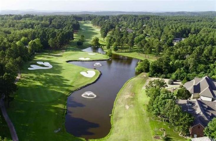 25 Princesa Drive  Hot Springs Village, AR