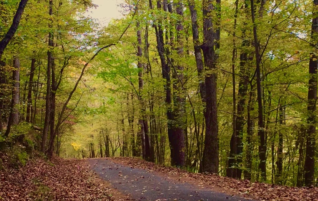 4 Princesa  Hot Springs Village, AR