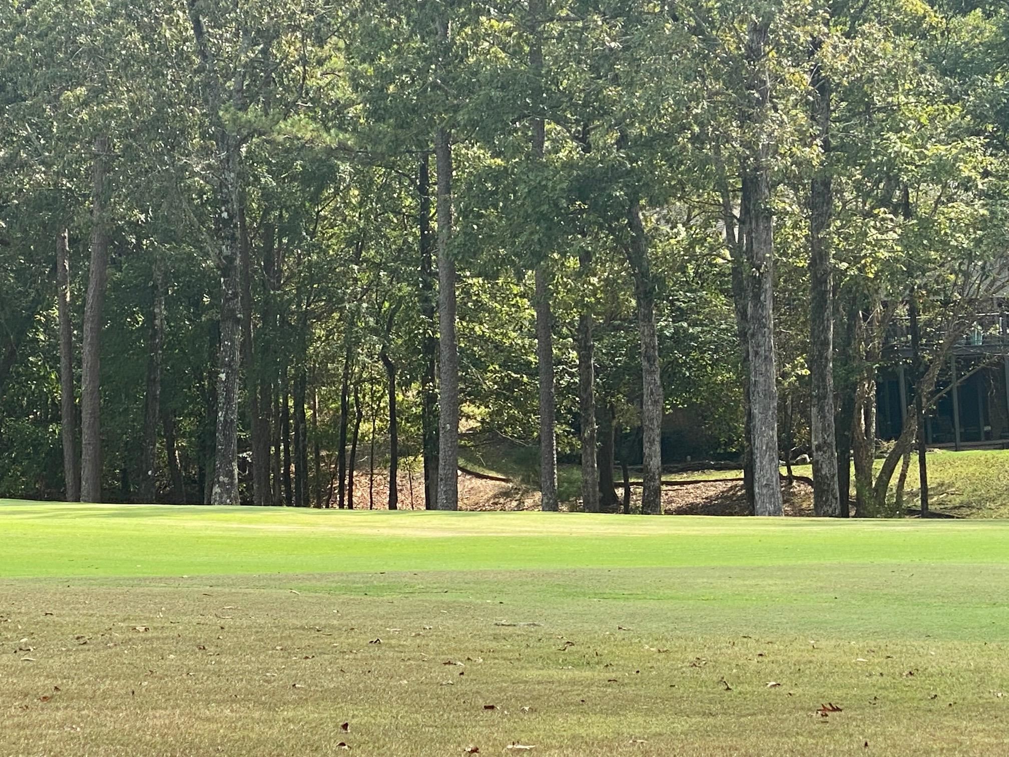 8 Princesa  Hot Springs Village, AR