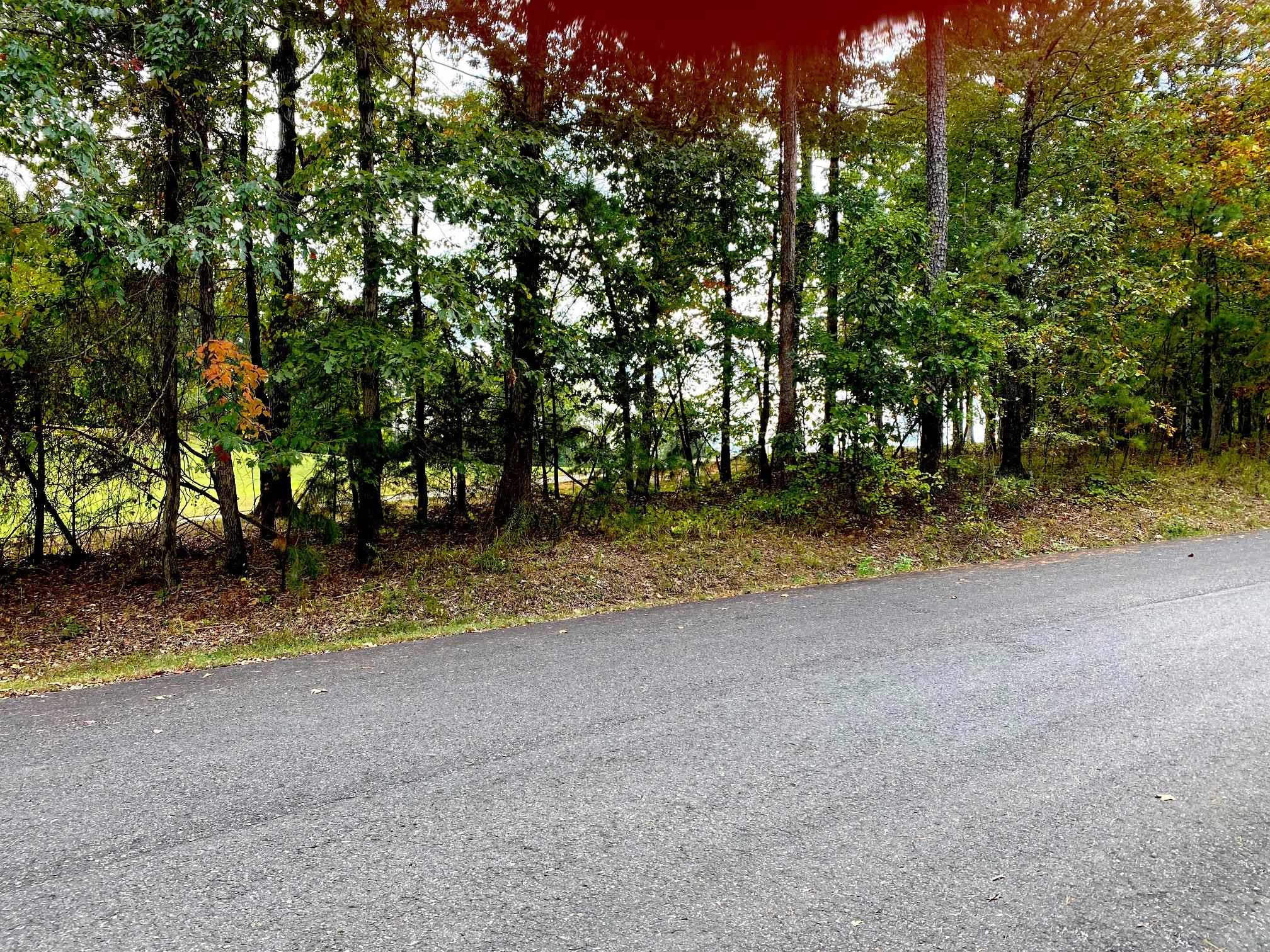 33 Granada  Hot Springs Village, AR