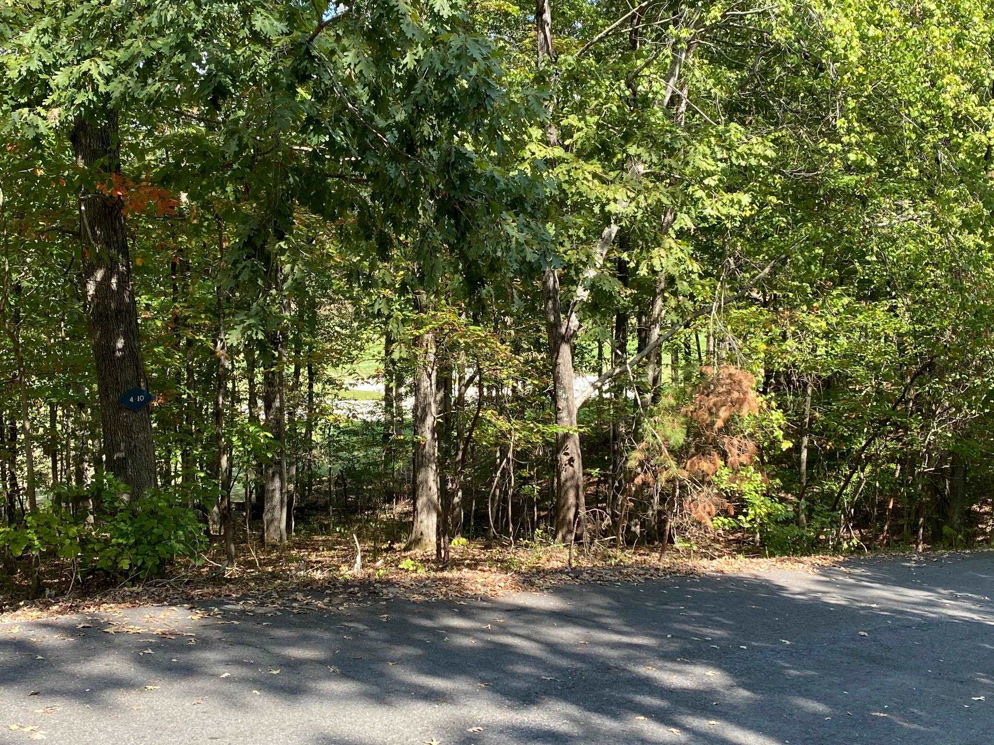 38 Granada  Hot Springs Village, AR