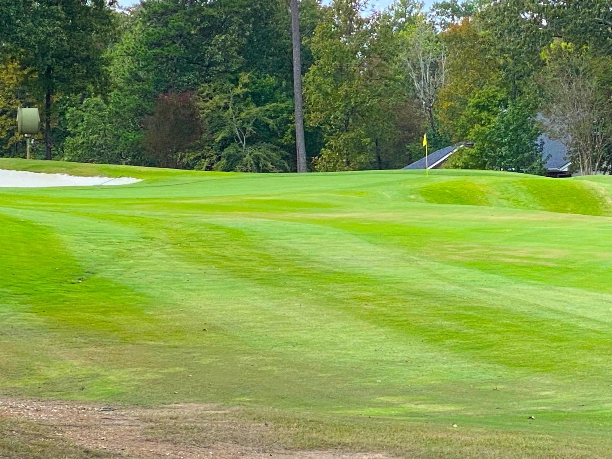 38 Granada  Hot Springs Village, AR