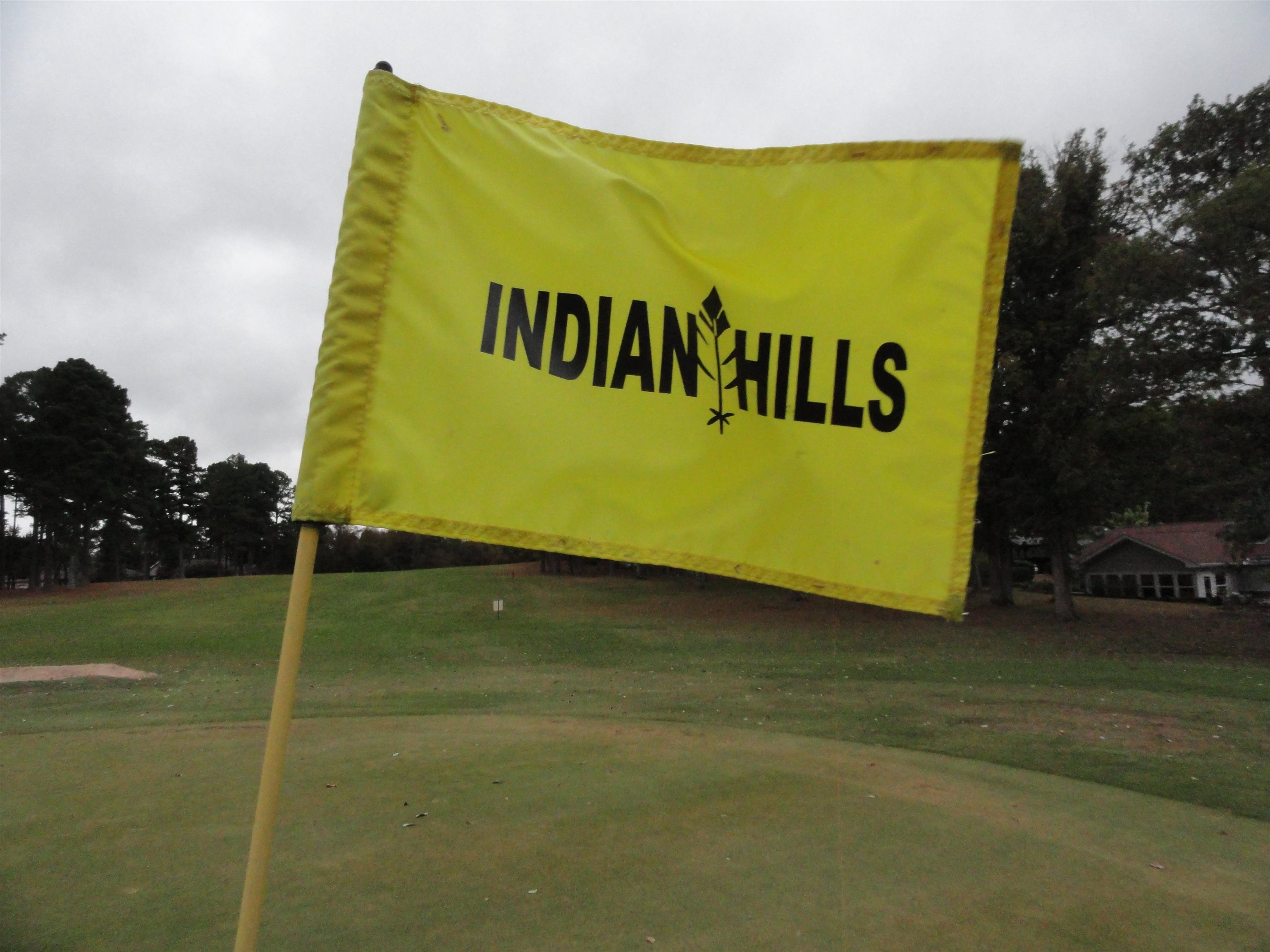 238 Snead Drive Fairfield Bay, AR 72088