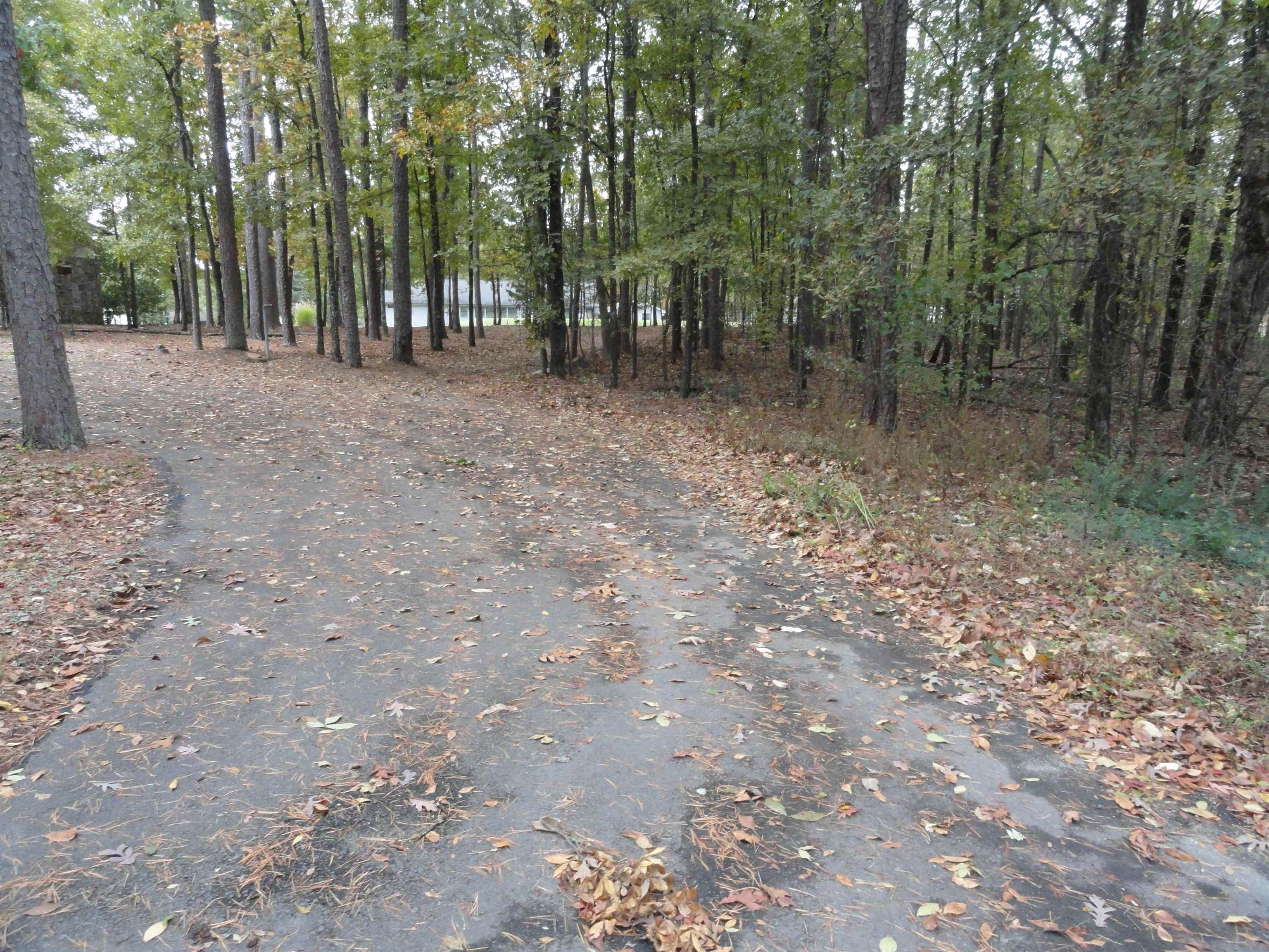 238 Snead Drive Fairfield Bay, AR 72088