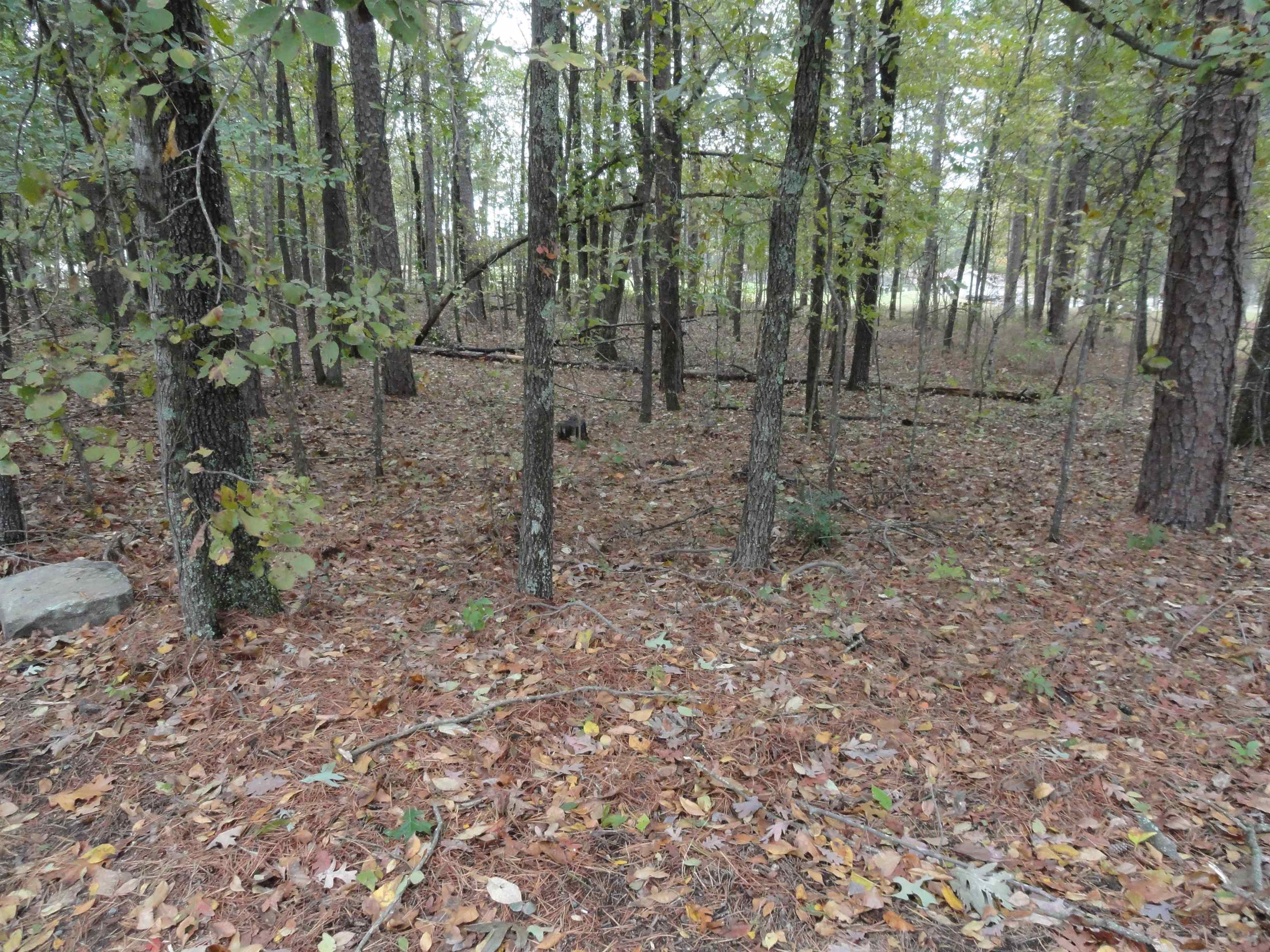 238 Snead Drive Fairfield Bay, AR 72088