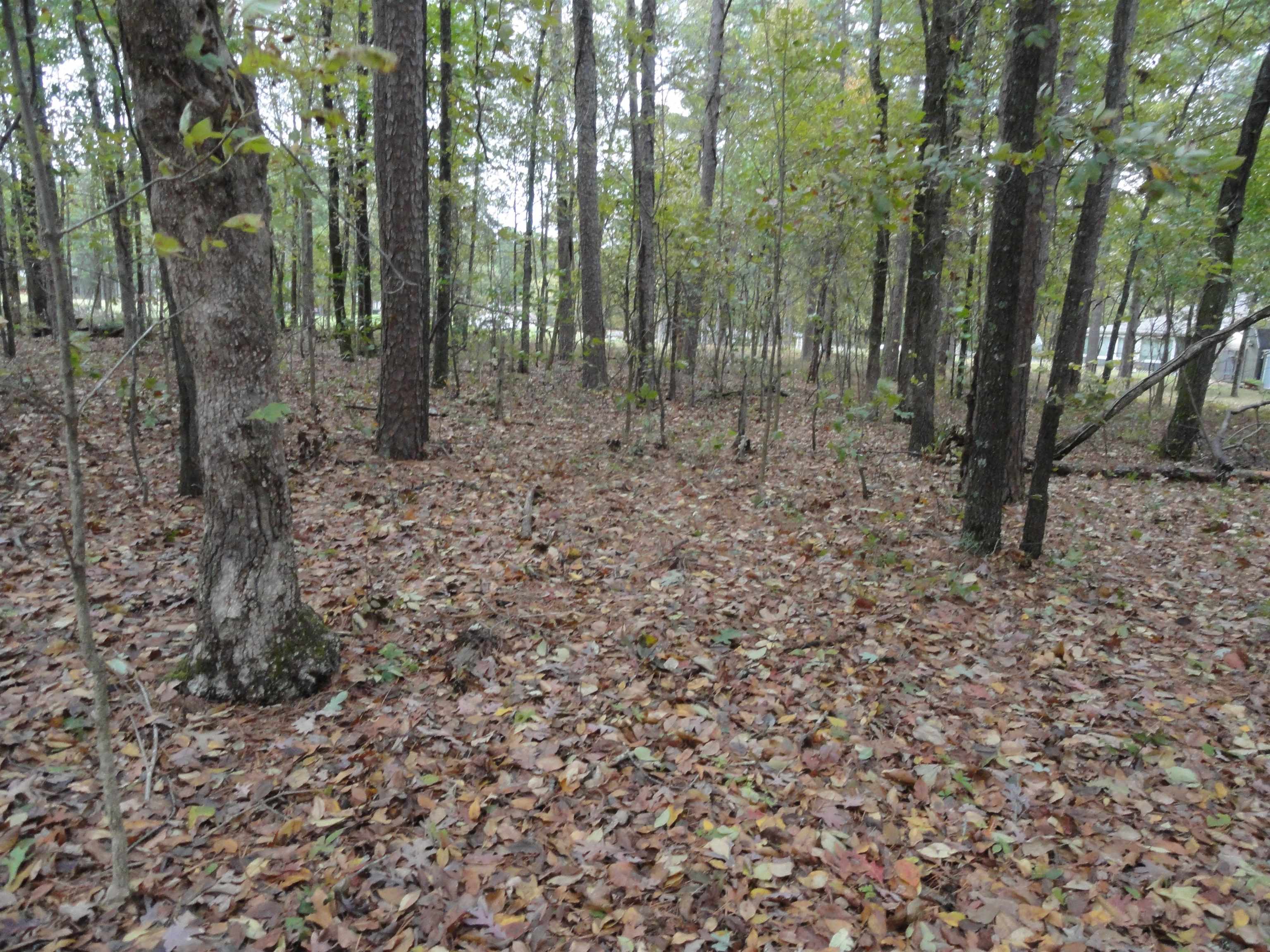 238 Snead Drive Fairfield Bay, AR 72088