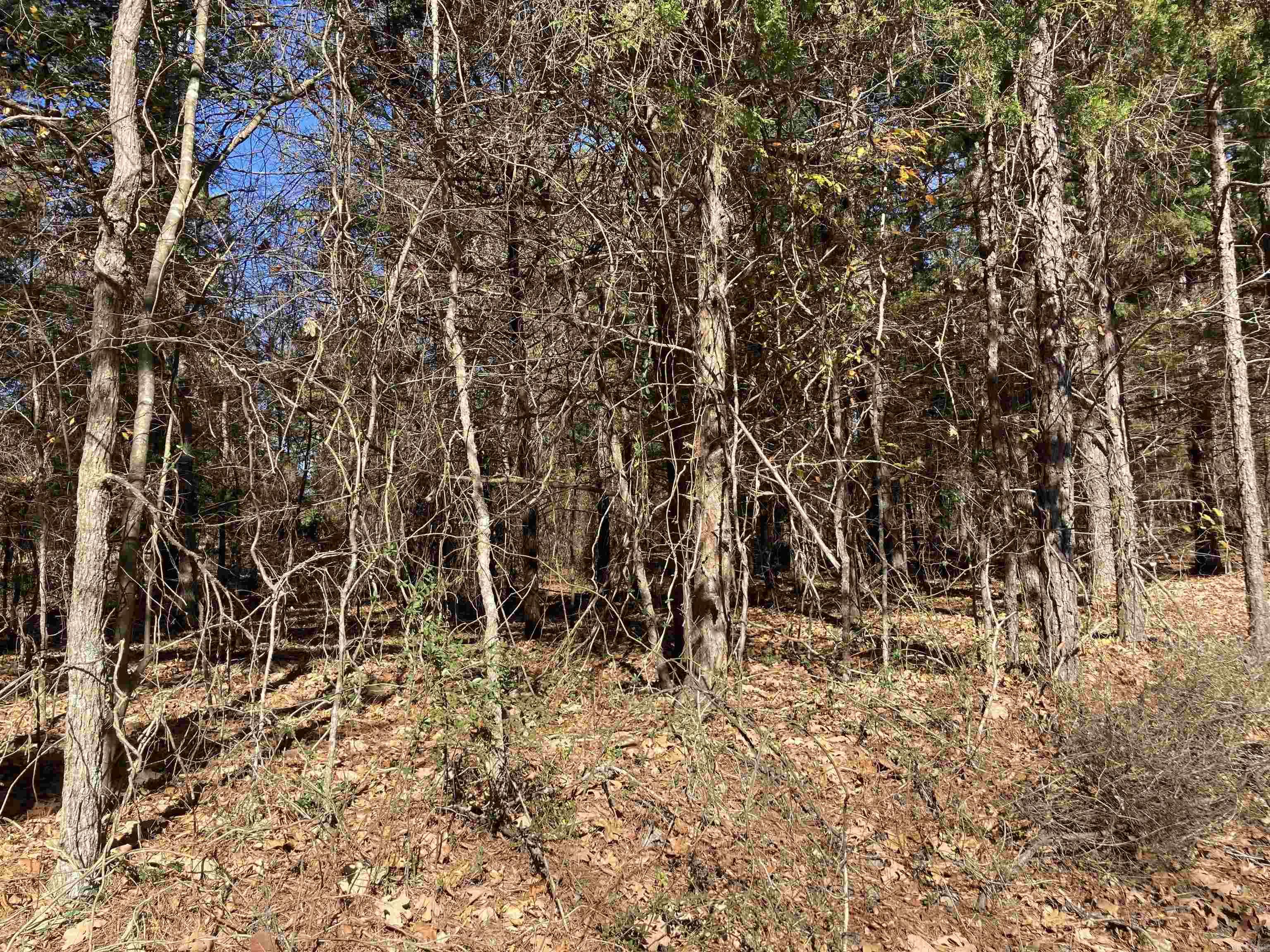 00 Edgemere  Fairfield Bay, AR