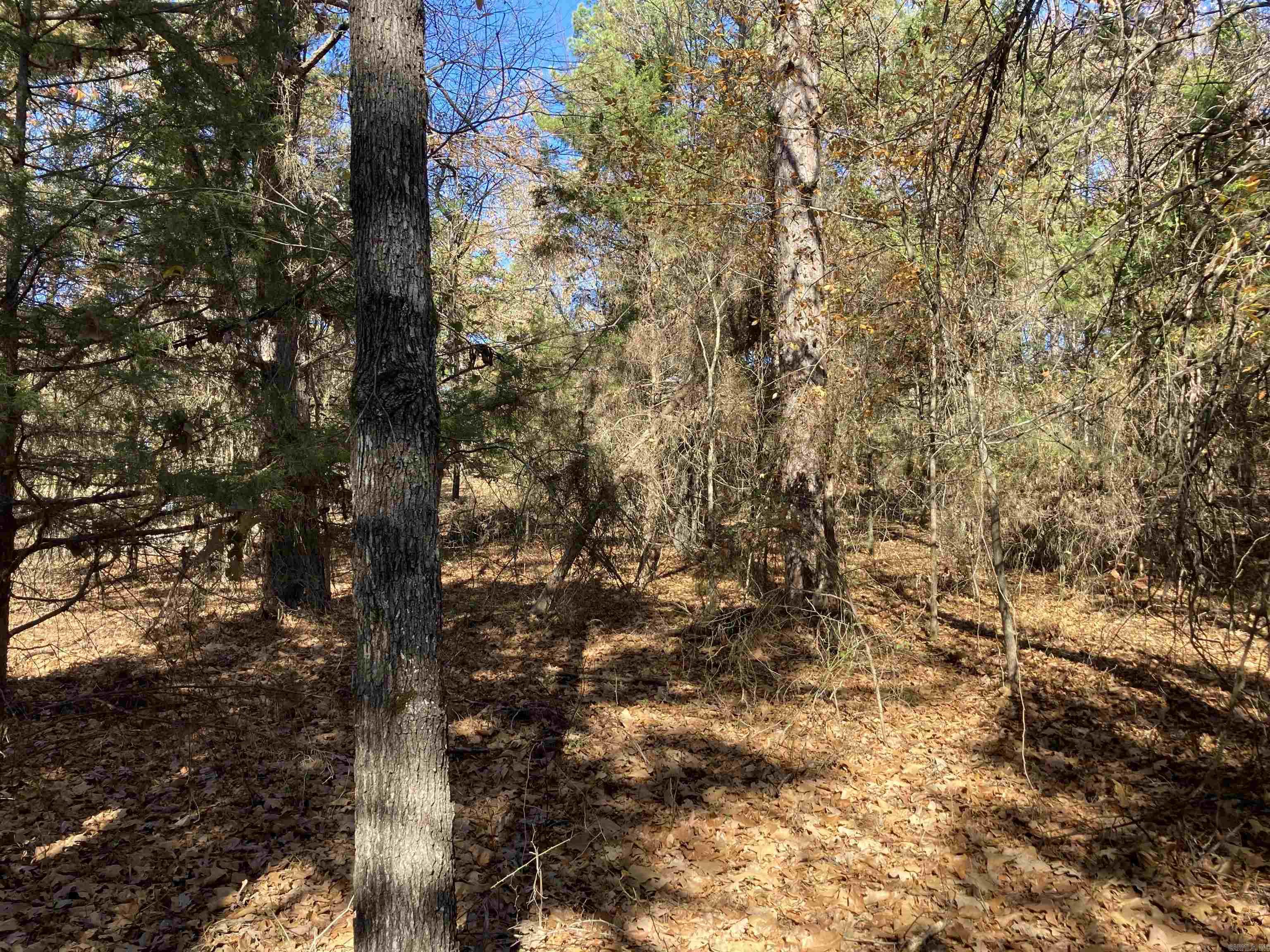 00 Edgemere  Fairfield Bay, AR