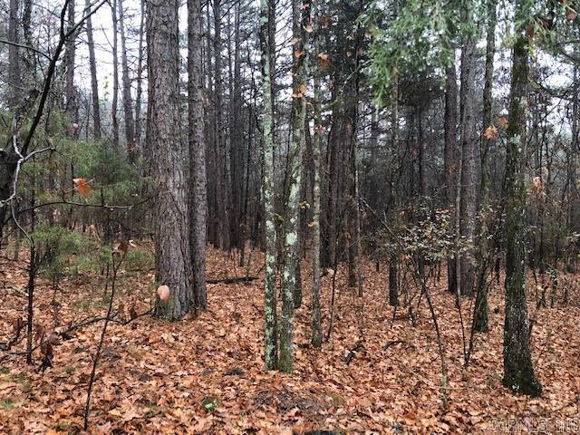 000 Mountain Ranch  Fairfield Bay, AR