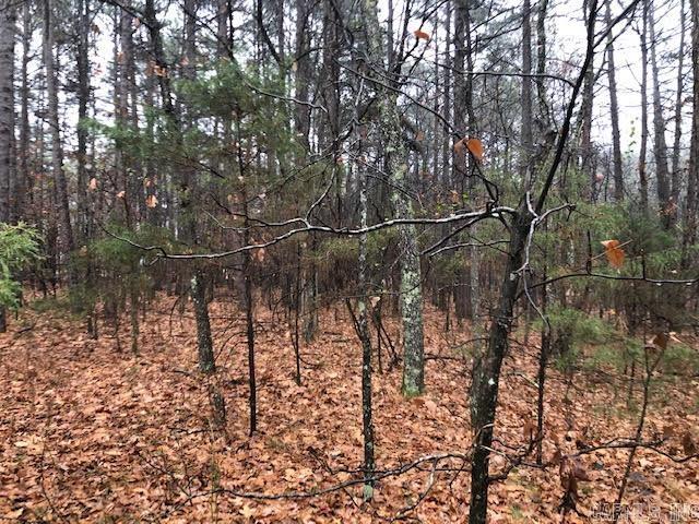 000 Mountain Ranch  Fairfield Bay, AR