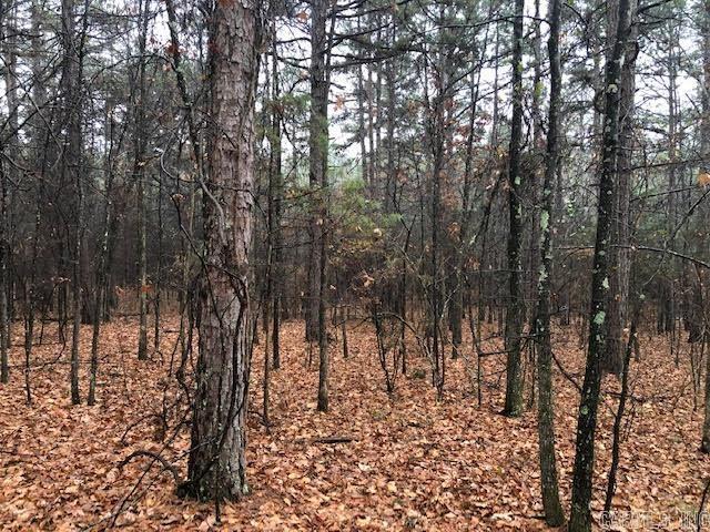 000 Mountain Ranch  Fairfield Bay, AR