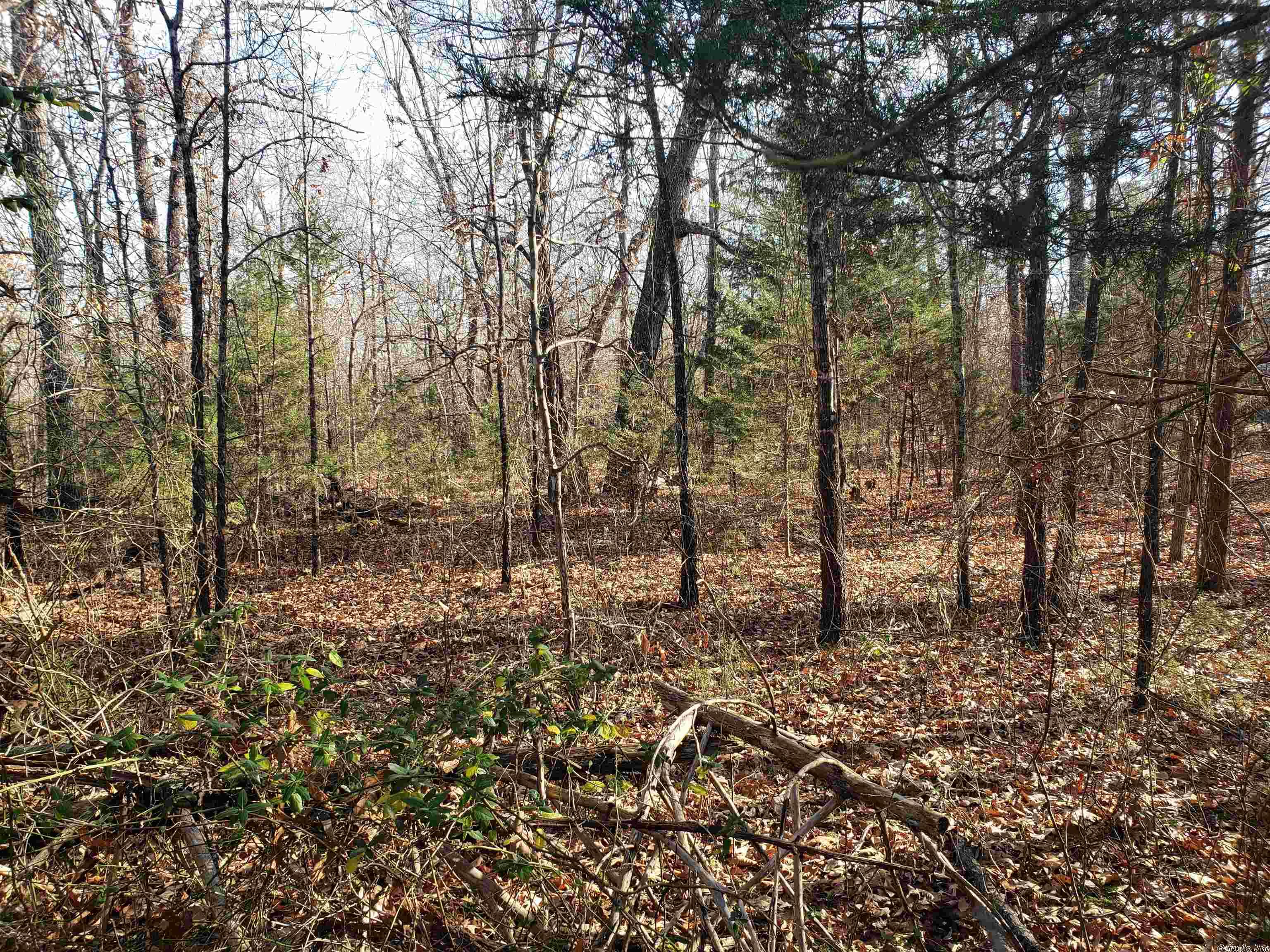 L-22 & 23, B-9 Poteau  Cherokee Village, AR