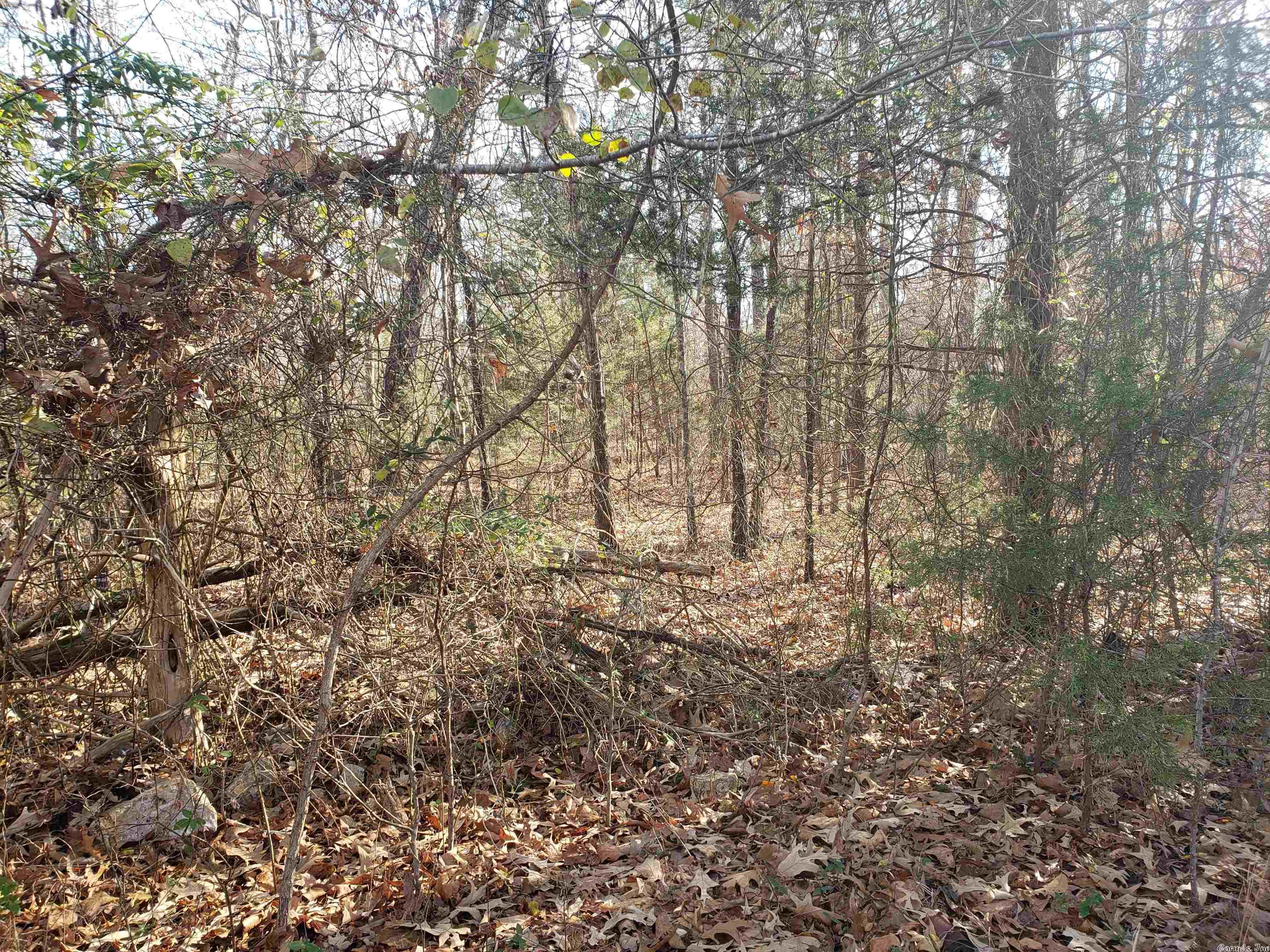 L-22 & 23, B-9 Poteau  Cherokee Village, AR