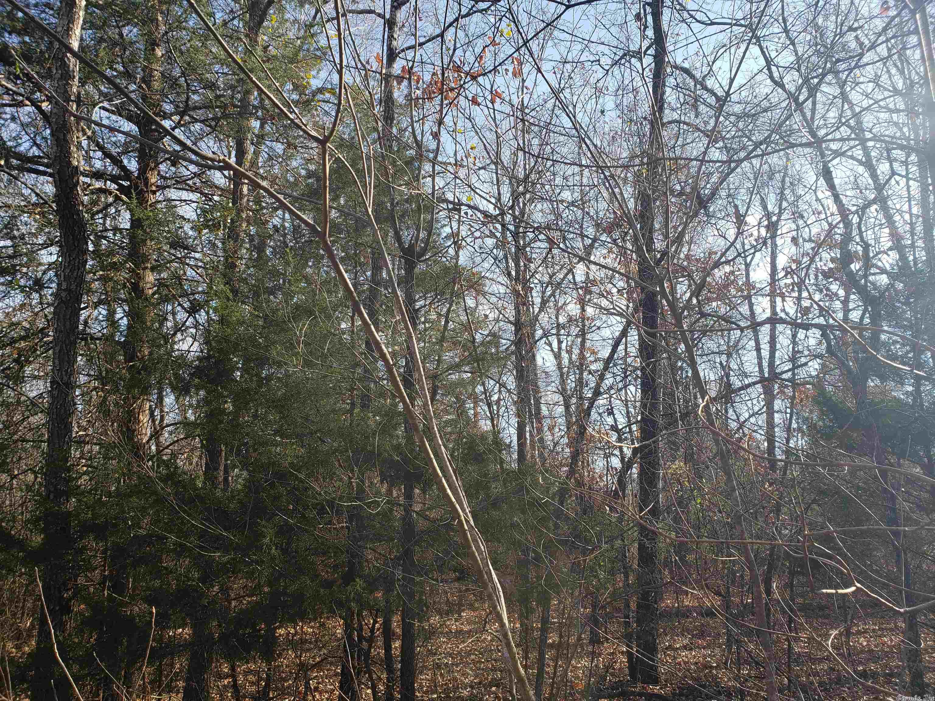 L-22 & 23, B-9 Poteau  Cherokee Village, AR