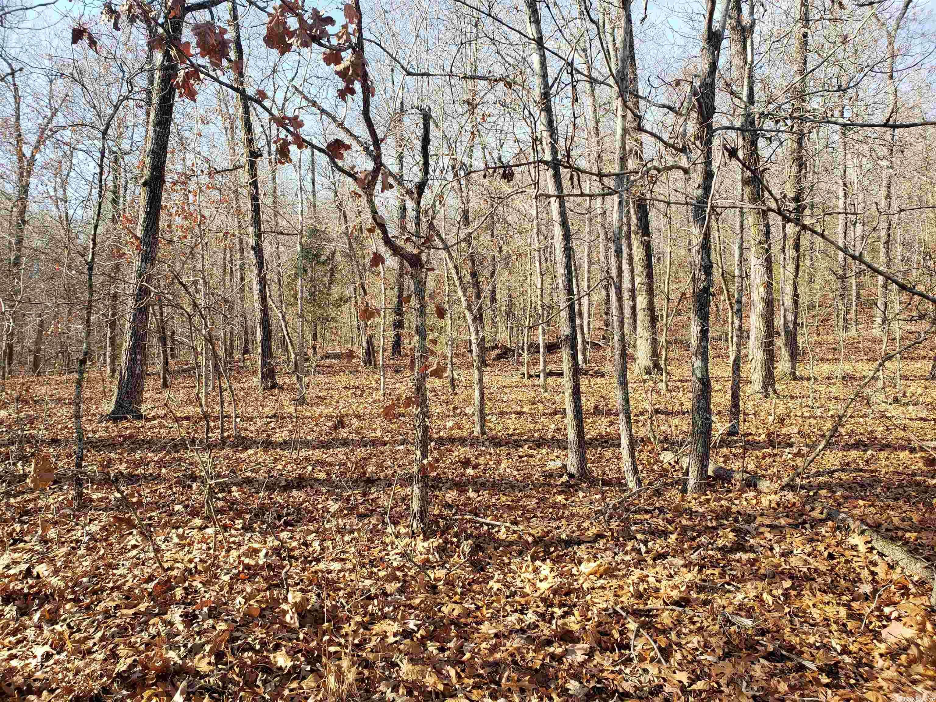 L-61 & 62, B-7 Quenemo  Cherokee Village, AR