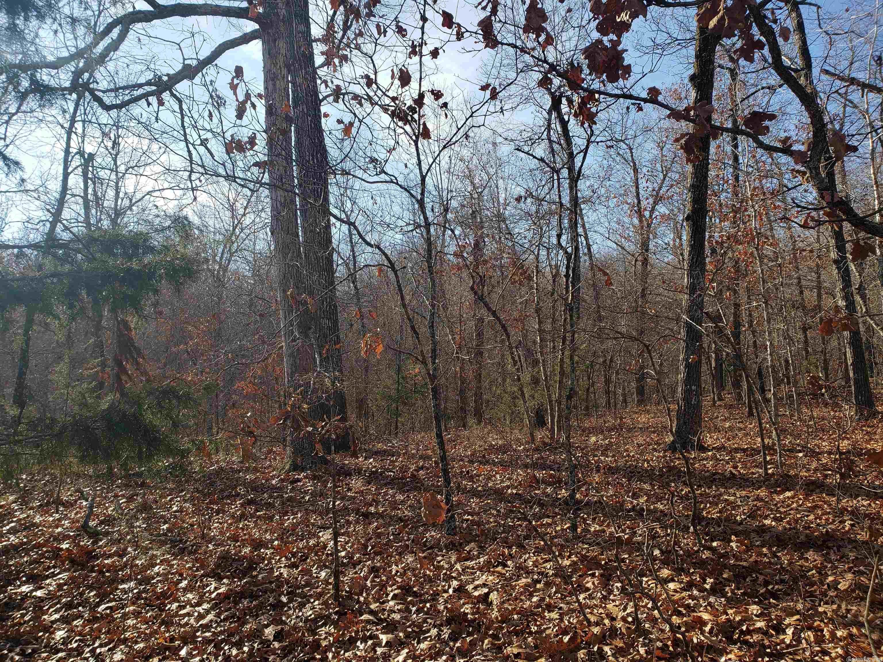 L-61 & 62, B-7 Quenemo  Cherokee Village, AR