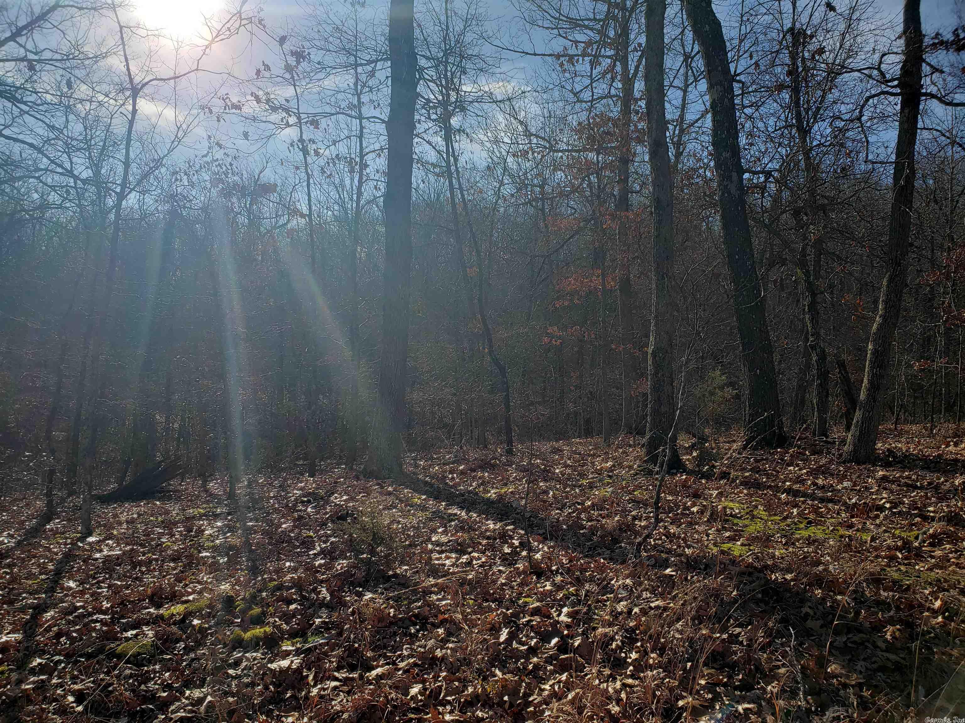 L-61 & 62, B-7 Quenemo  Cherokee Village, AR