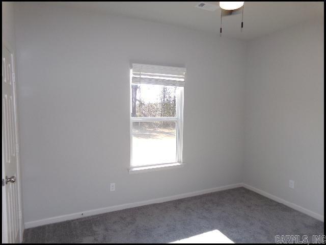 1155 Bulldog  Conway, AR