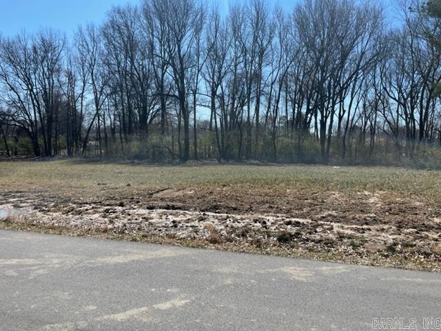  Circle Dr.  Carlisle, AR