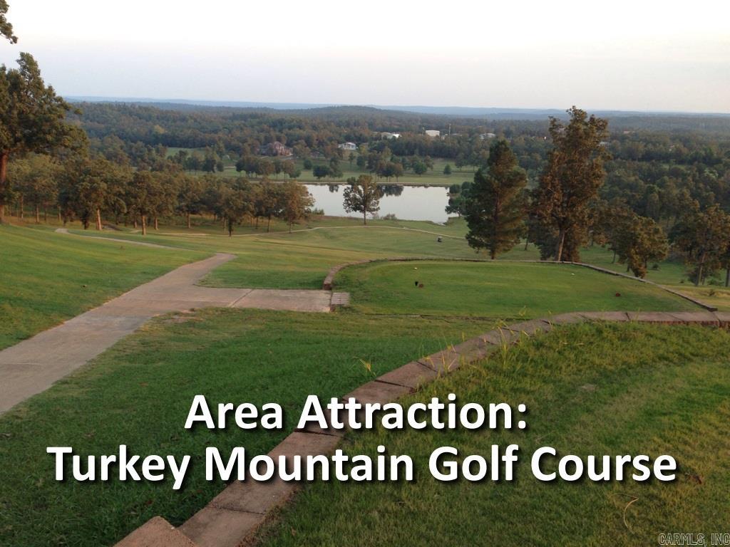 1202 Morning Side  Horseshoe Bend, AR