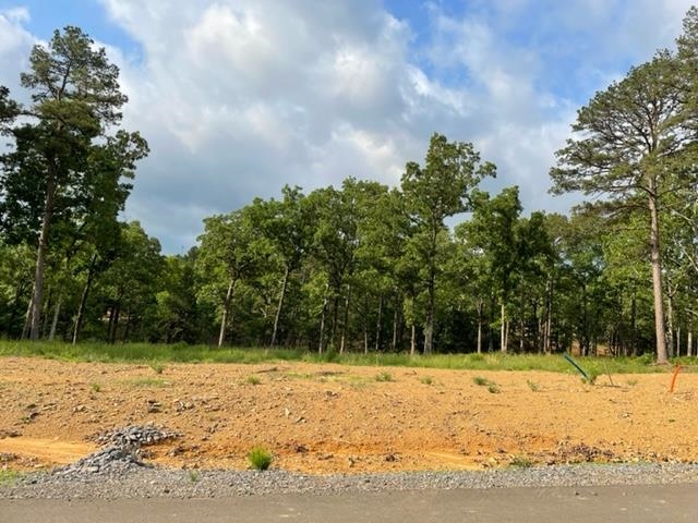  Orchard Hills Lot 12 Ph 3  Conway, AR