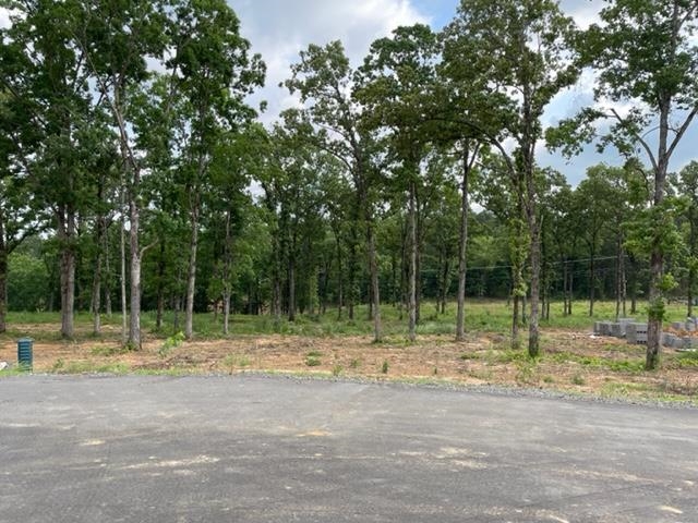  Orchard Hills Lot 12 Ph 3  Conway, AR